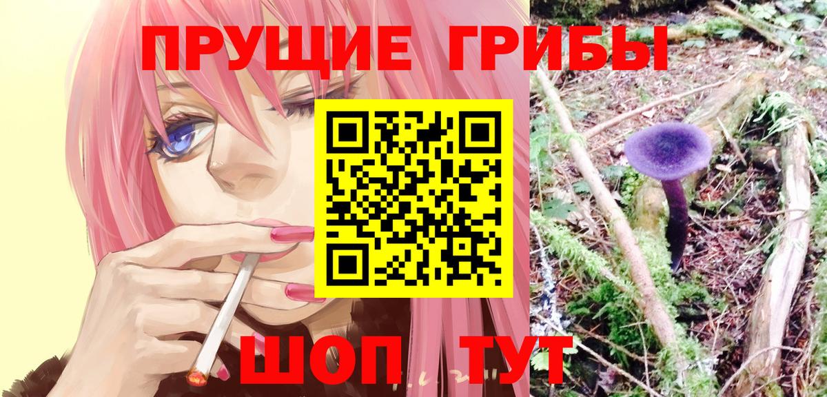Галлюциногенные грибы мицелий  Вход с VPN  Ишим 