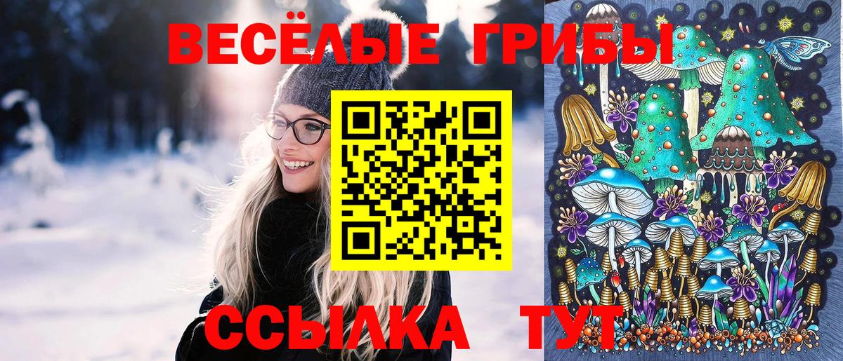 Псилоцибиновые грибы MAGIC MUSHROOMS Ишим